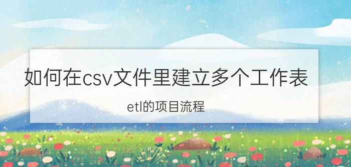 如何在csv文件里建立多个工作表 etl的项目流程？